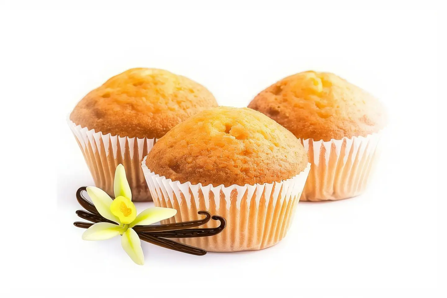 Vanilla Cupcake