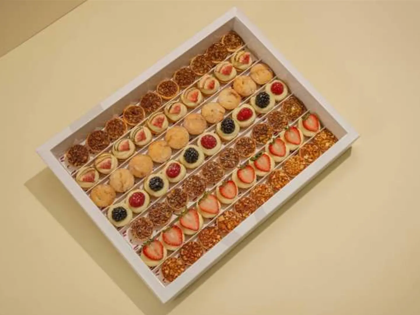 Box Tart (L)