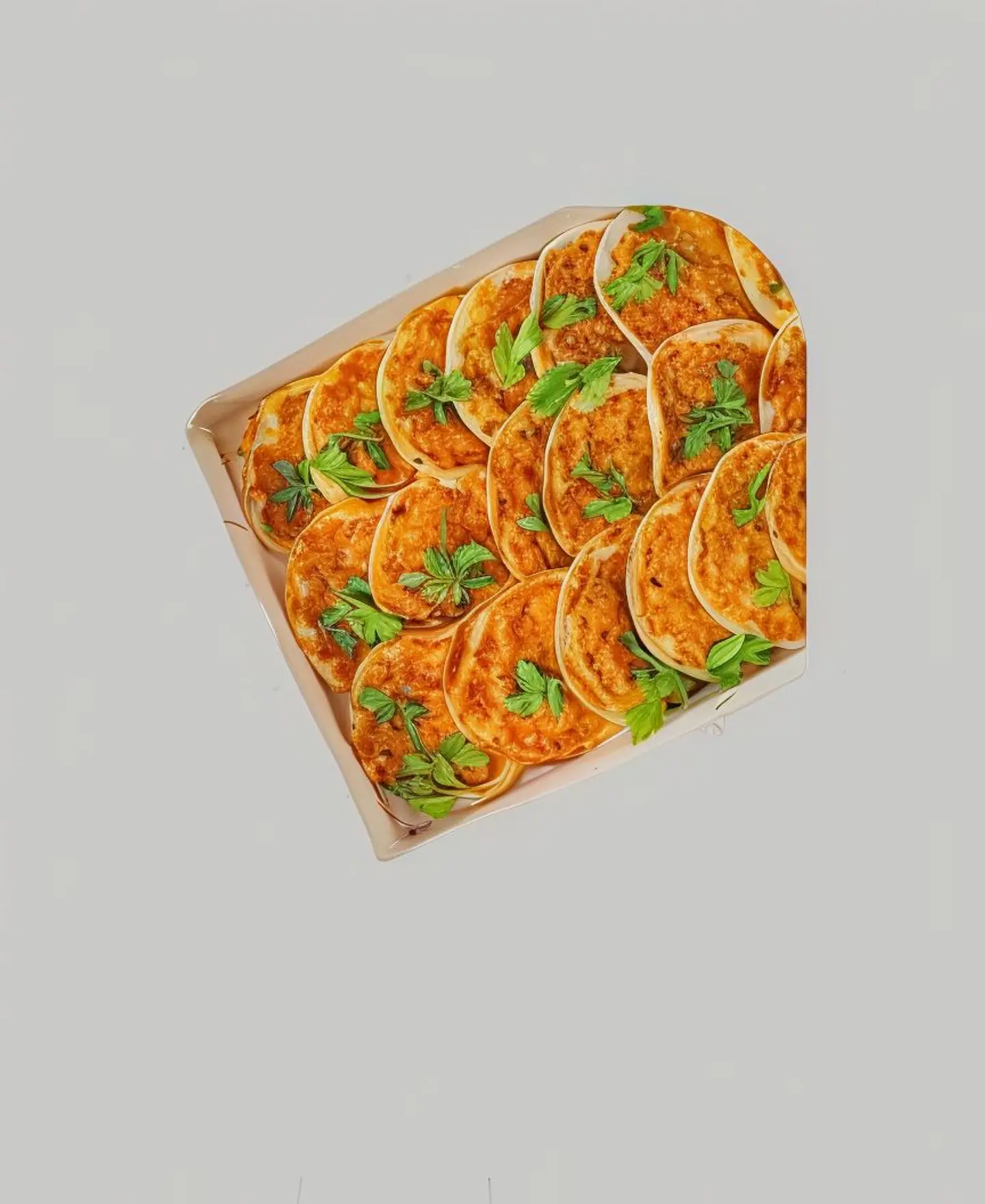 رهايف دجاج بالتوابل العربية