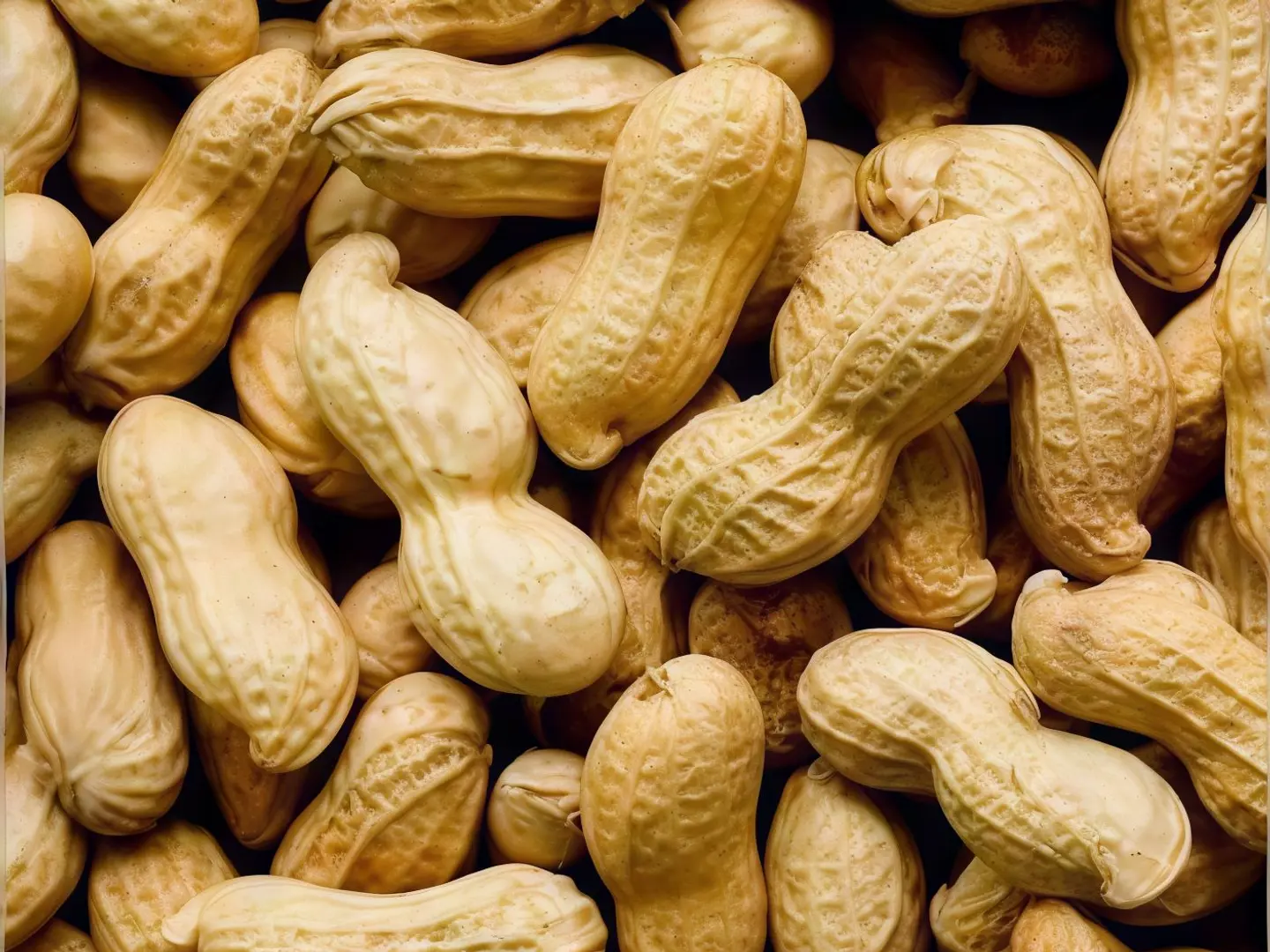 Peanuts In Shell