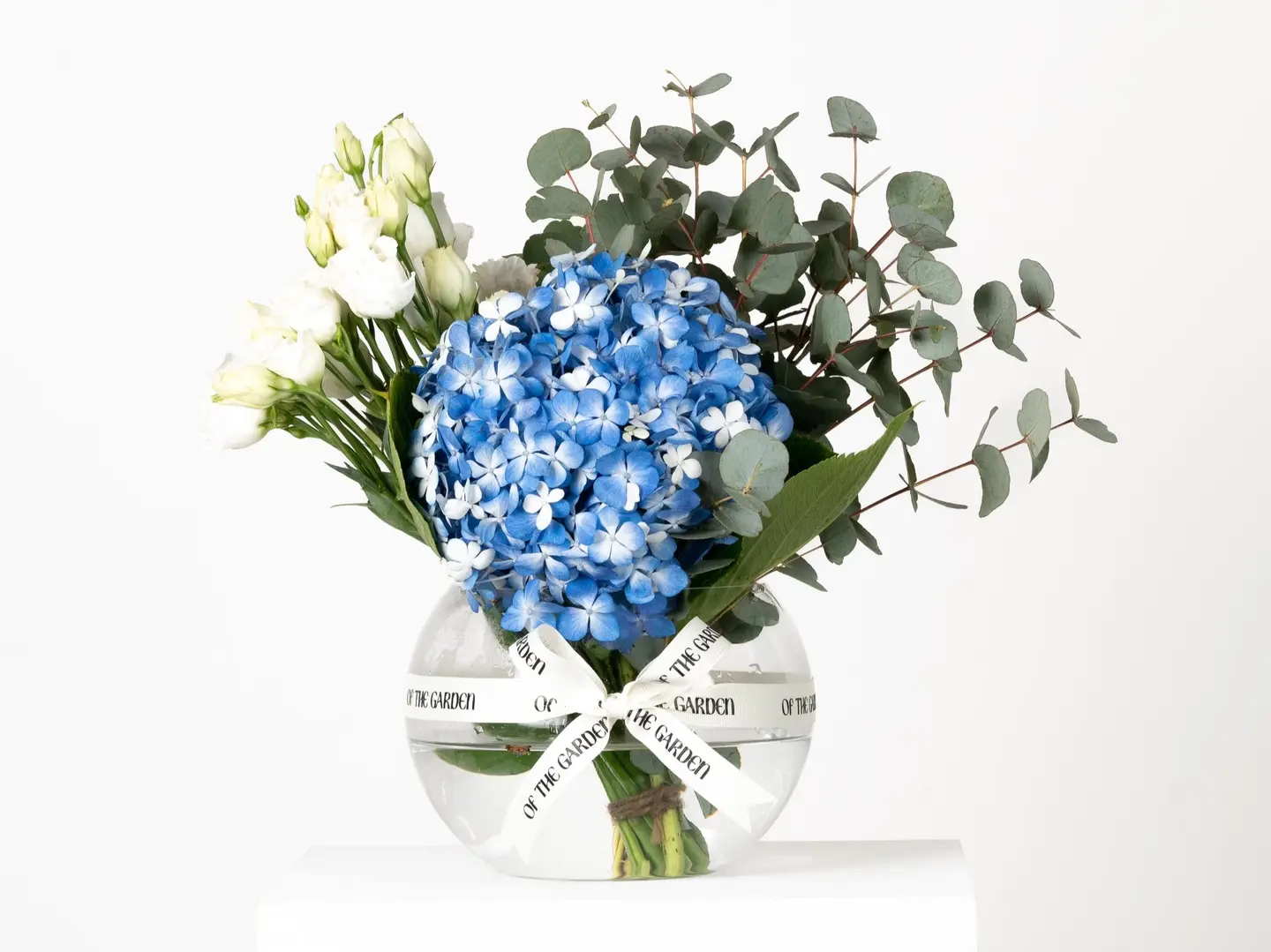 فازة بلو هايدرنجا