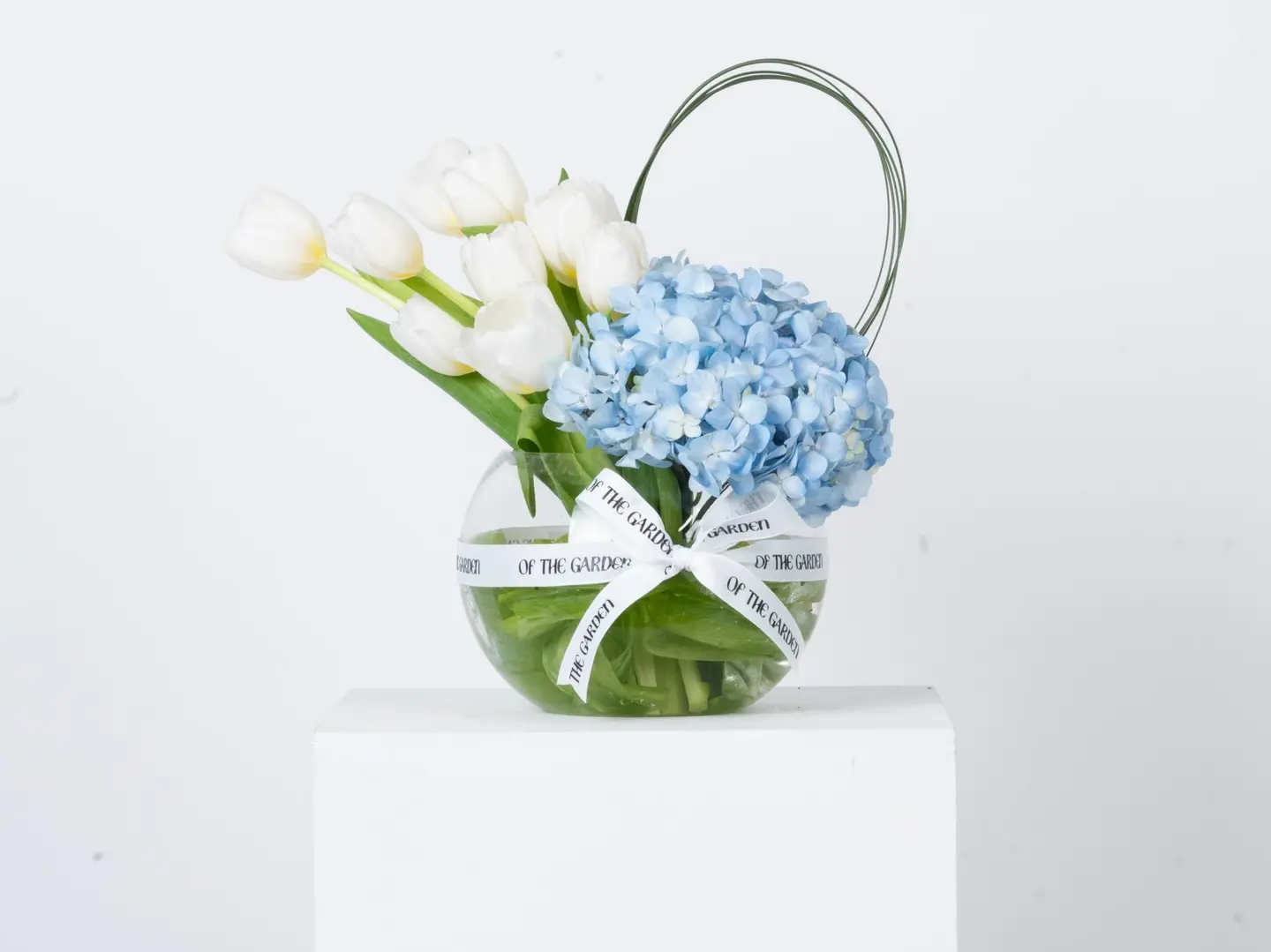 فازة تناغم السماء