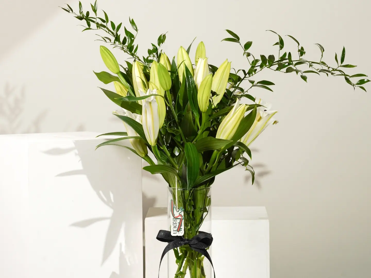 فازة جاردن لايت