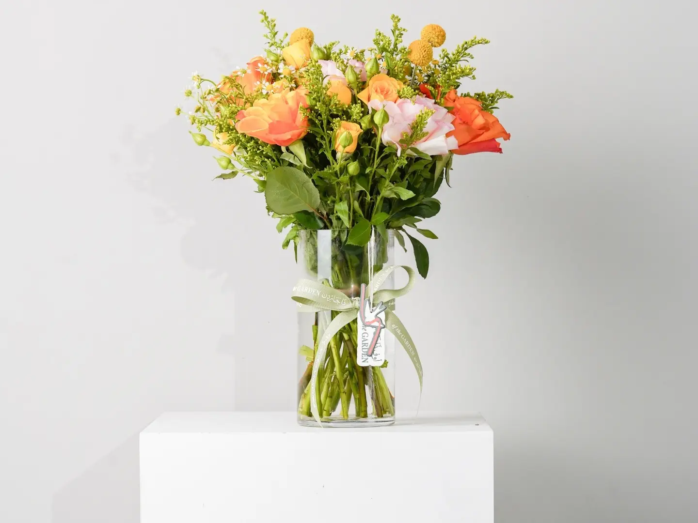 فازه سان رايز دلايت