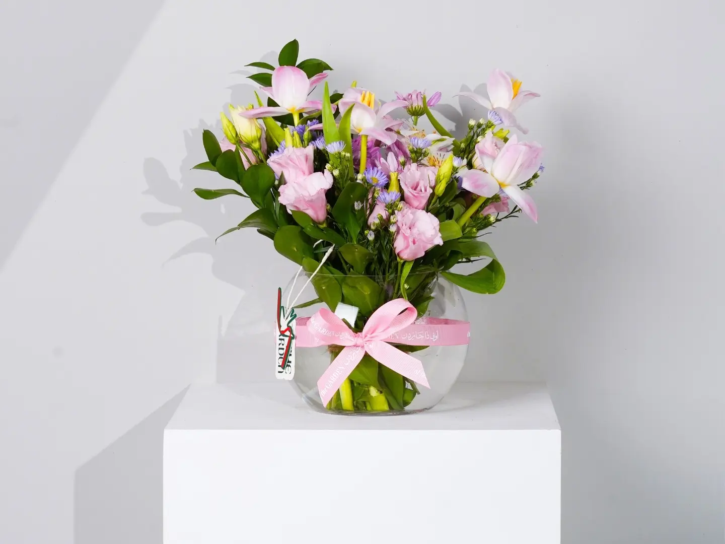 فازة نبض الامل