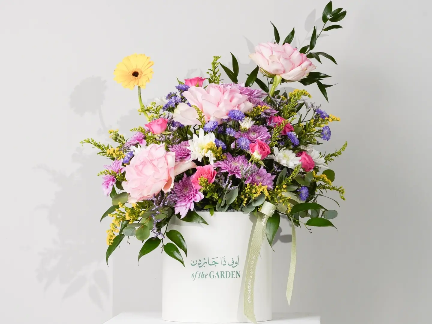 بوكس الايام