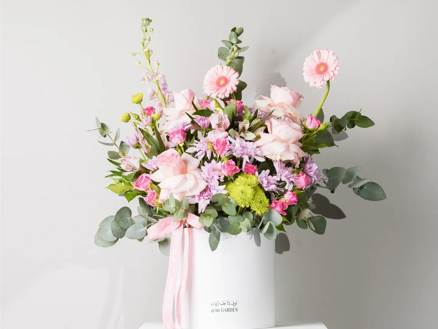 بوكس يوم الحصاد