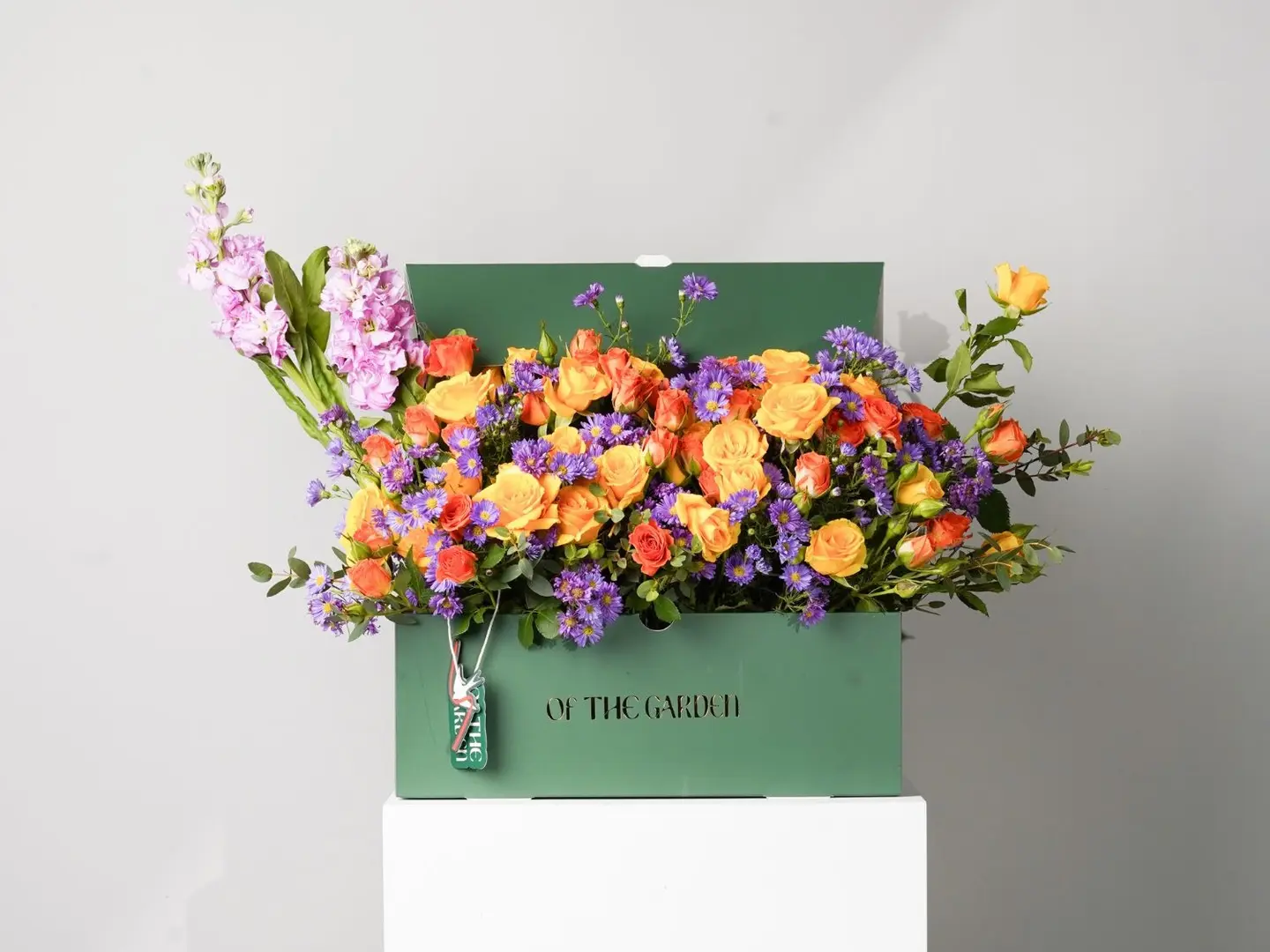 بوكس البستان أصفر