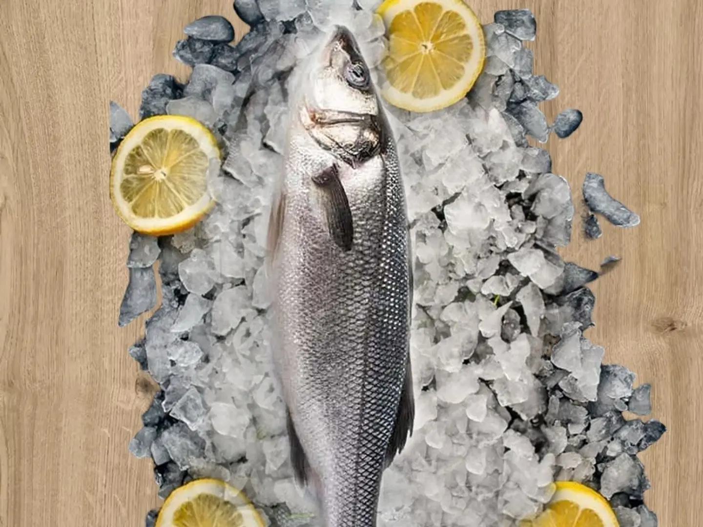 قاروص 700 جرام