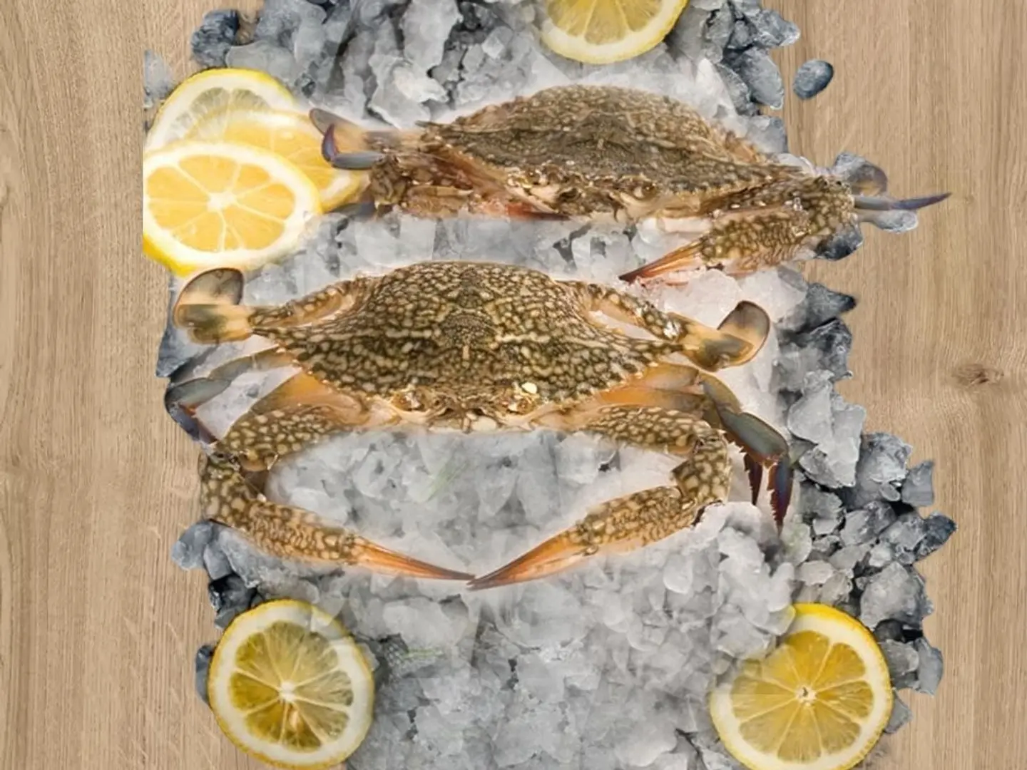 كابوريا 500 جرام