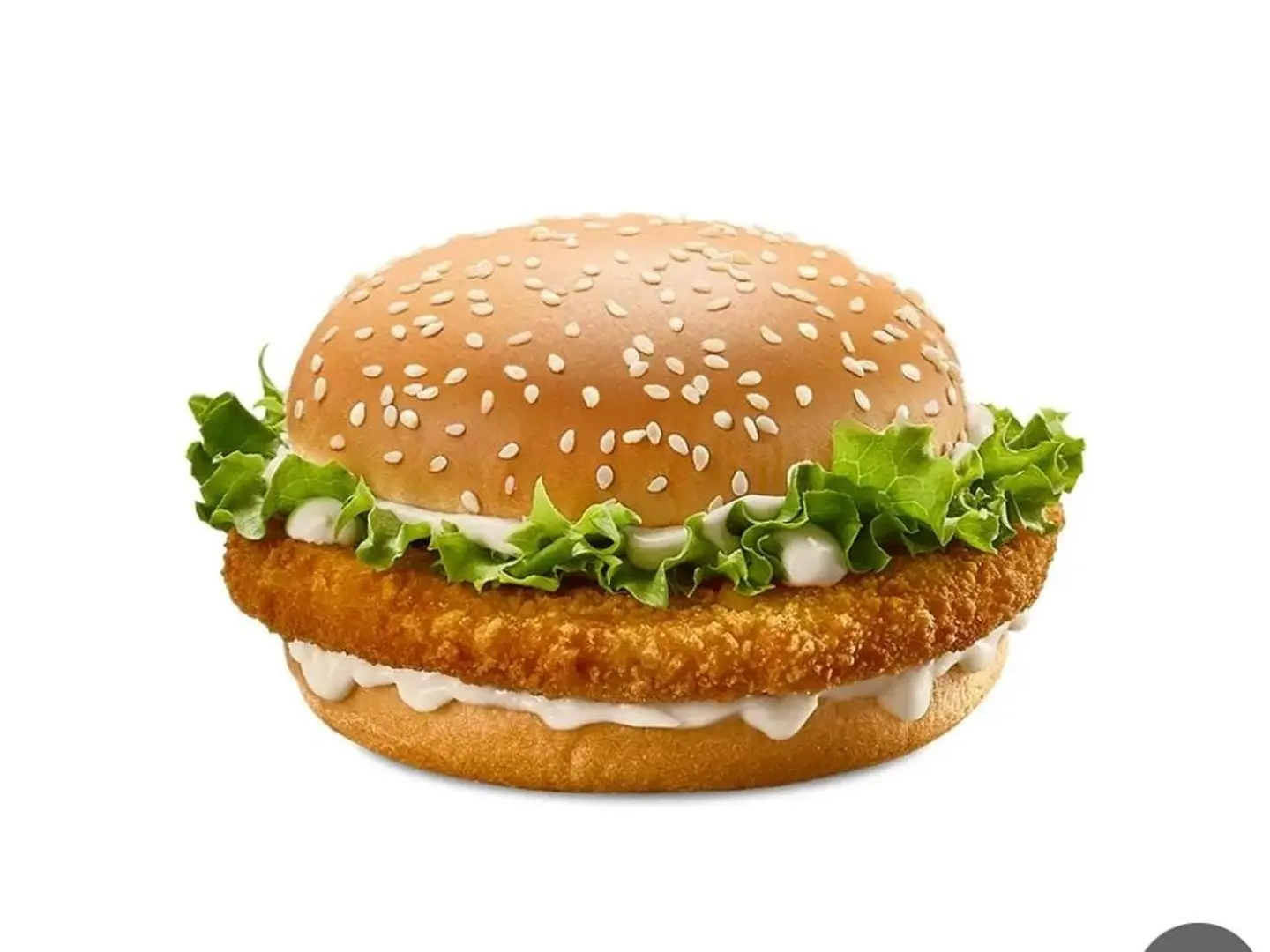 Chicken Burger Sandwich