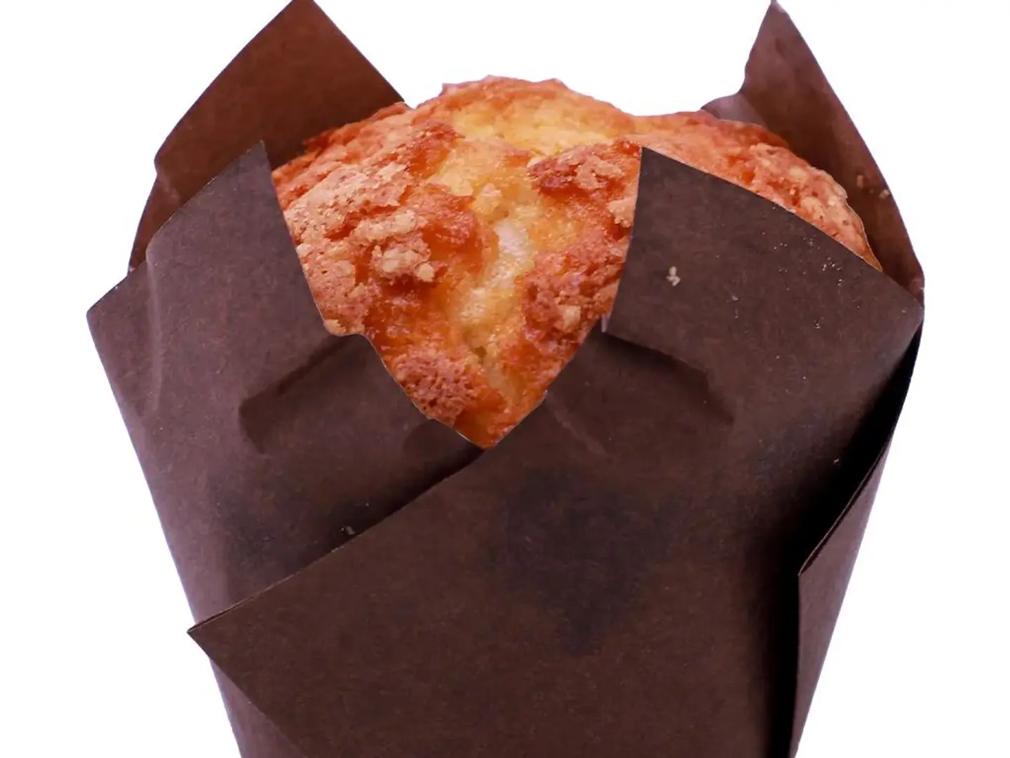 Vanilla Muffin