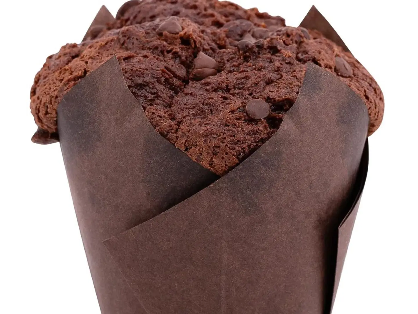 Chocolate Muffin