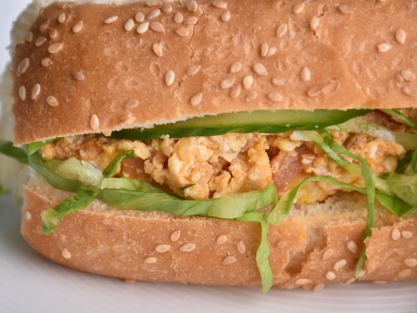 ساندوتش شكشوكة