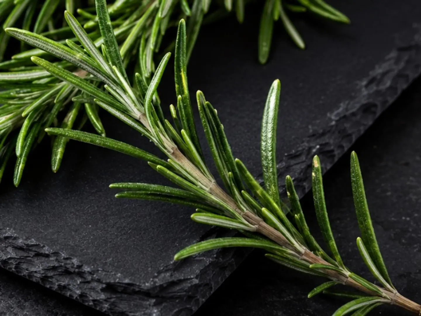 Rosemary