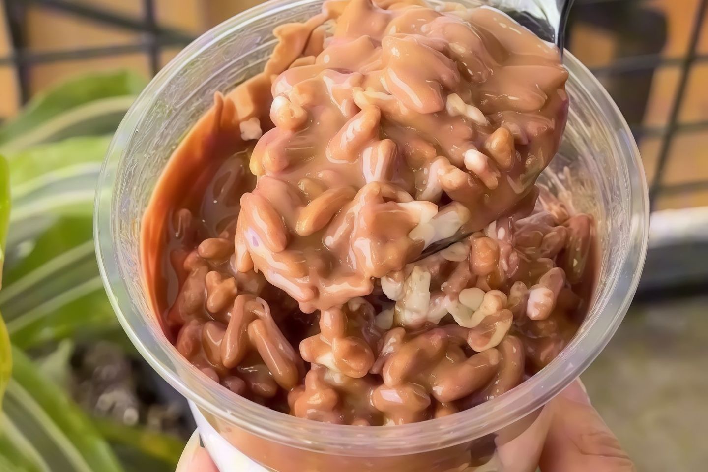 رايز كريسبي