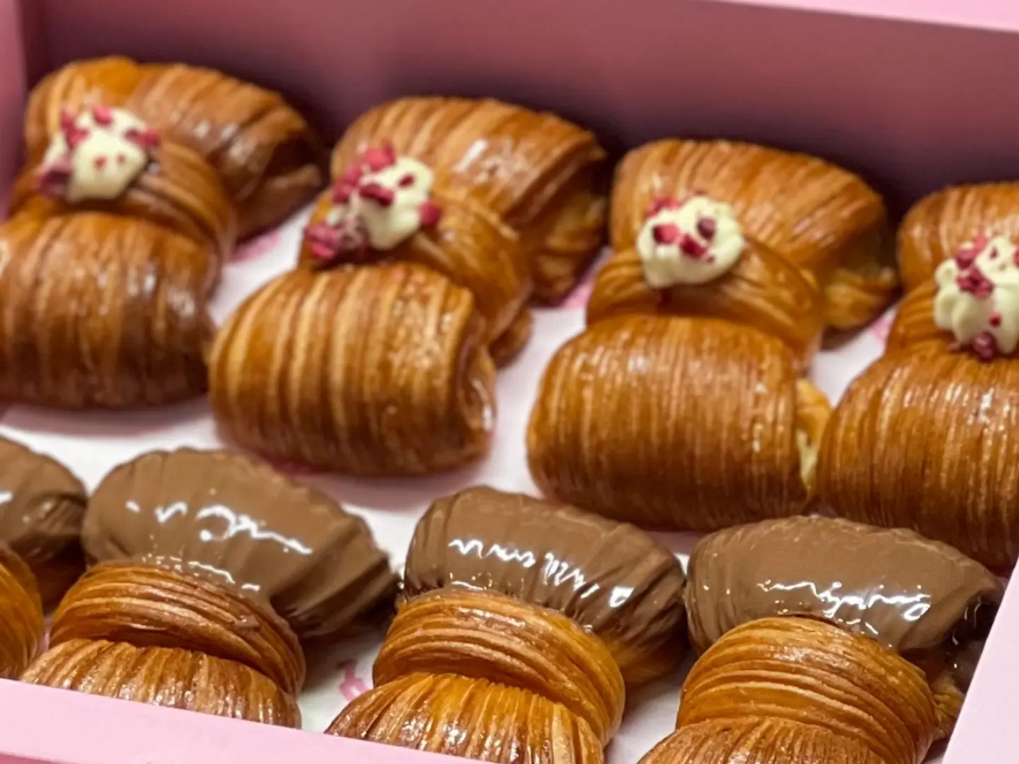 بوكس فيونكة صغير