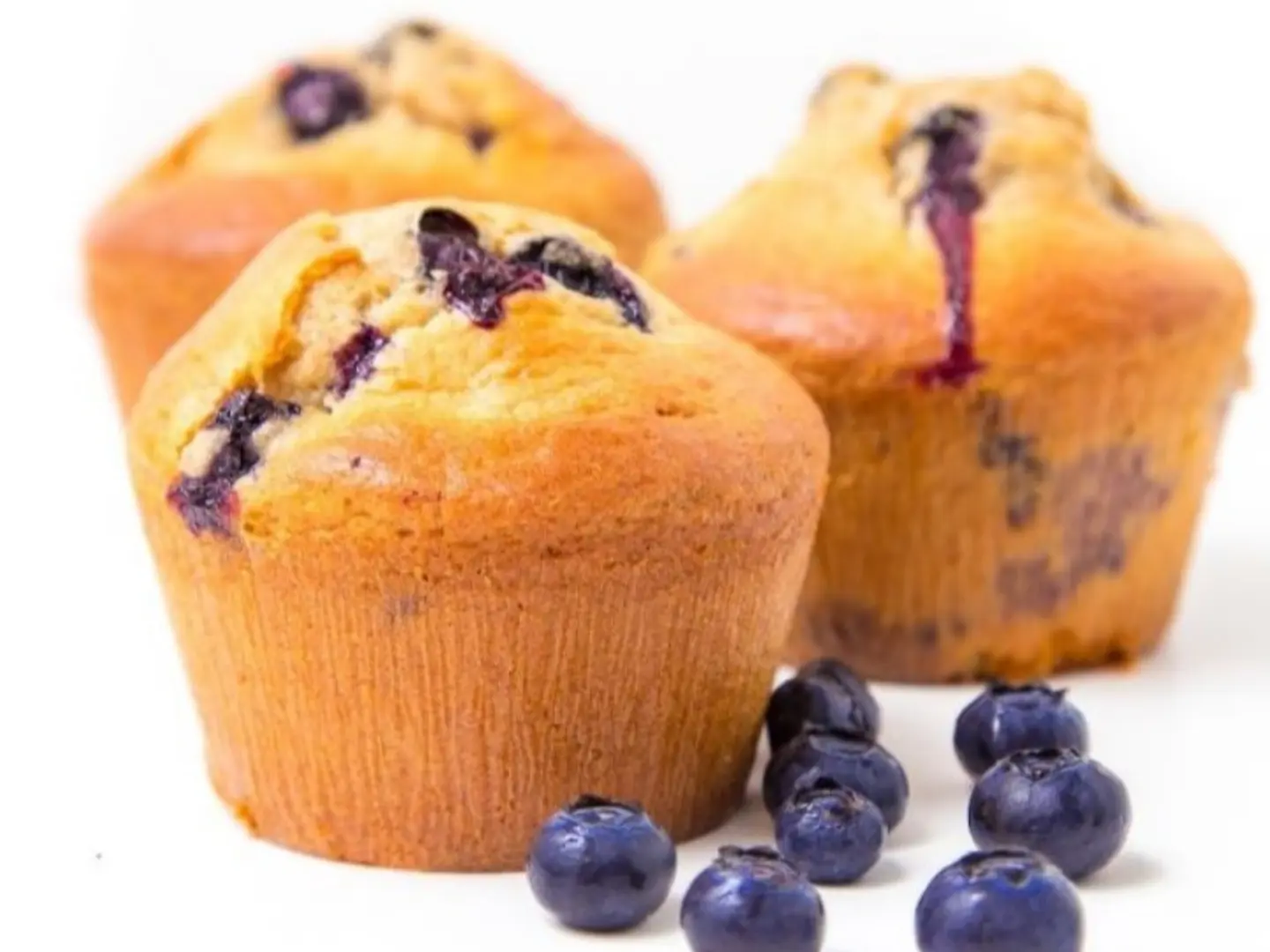 Blueberry Muffin