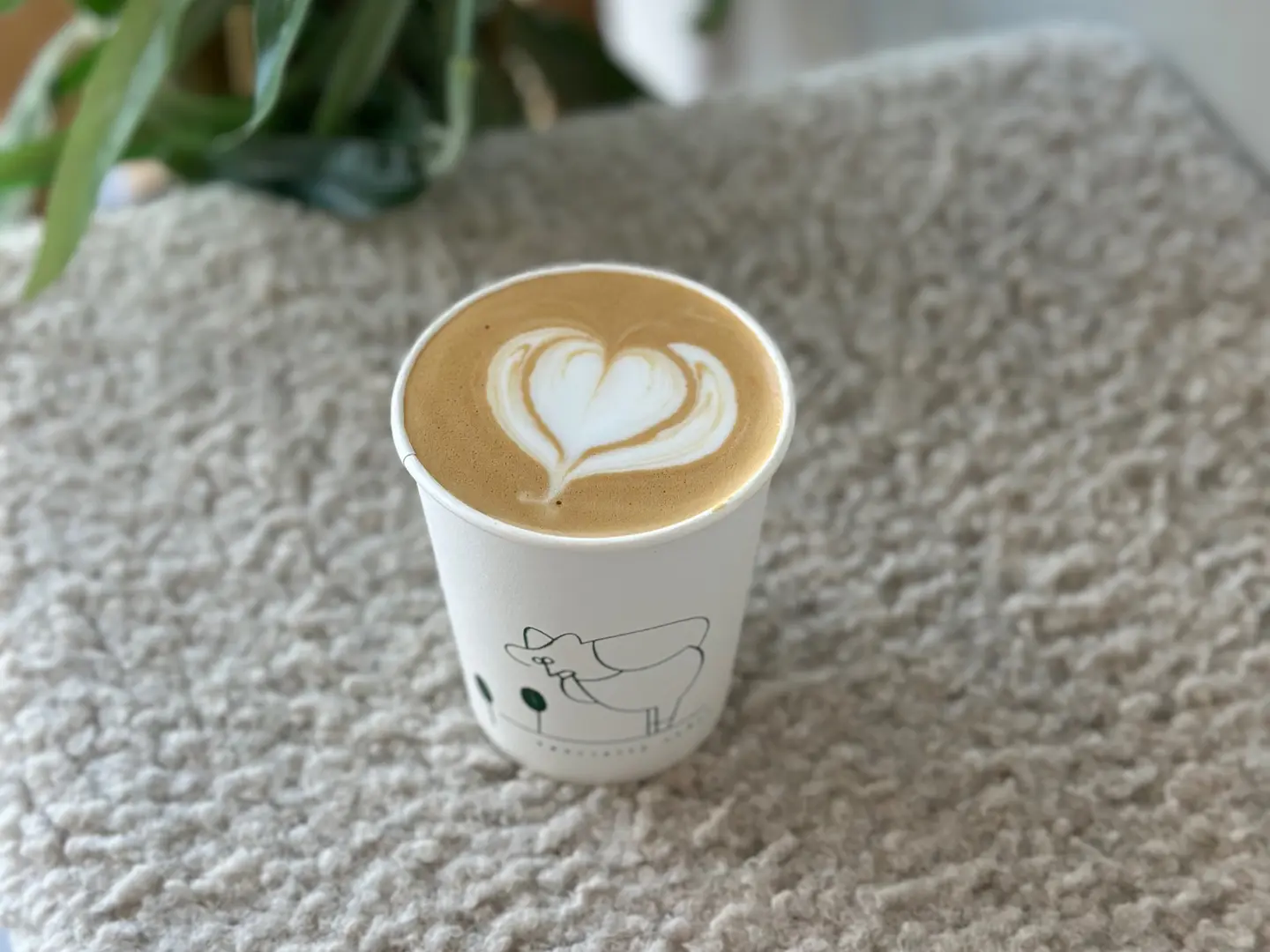 فلات وايت