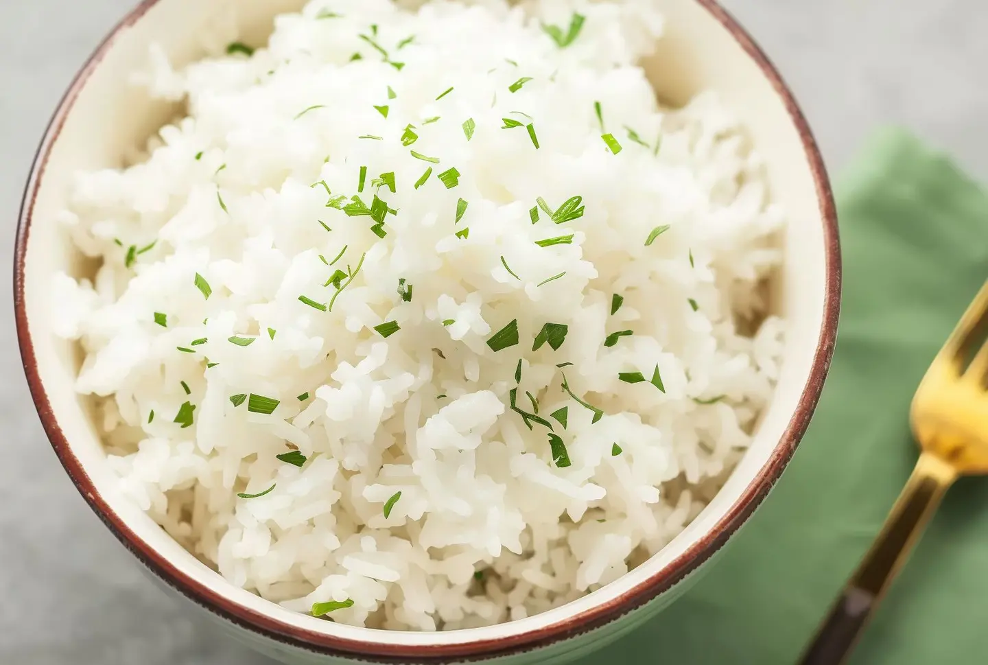 Plain Rice Bowl