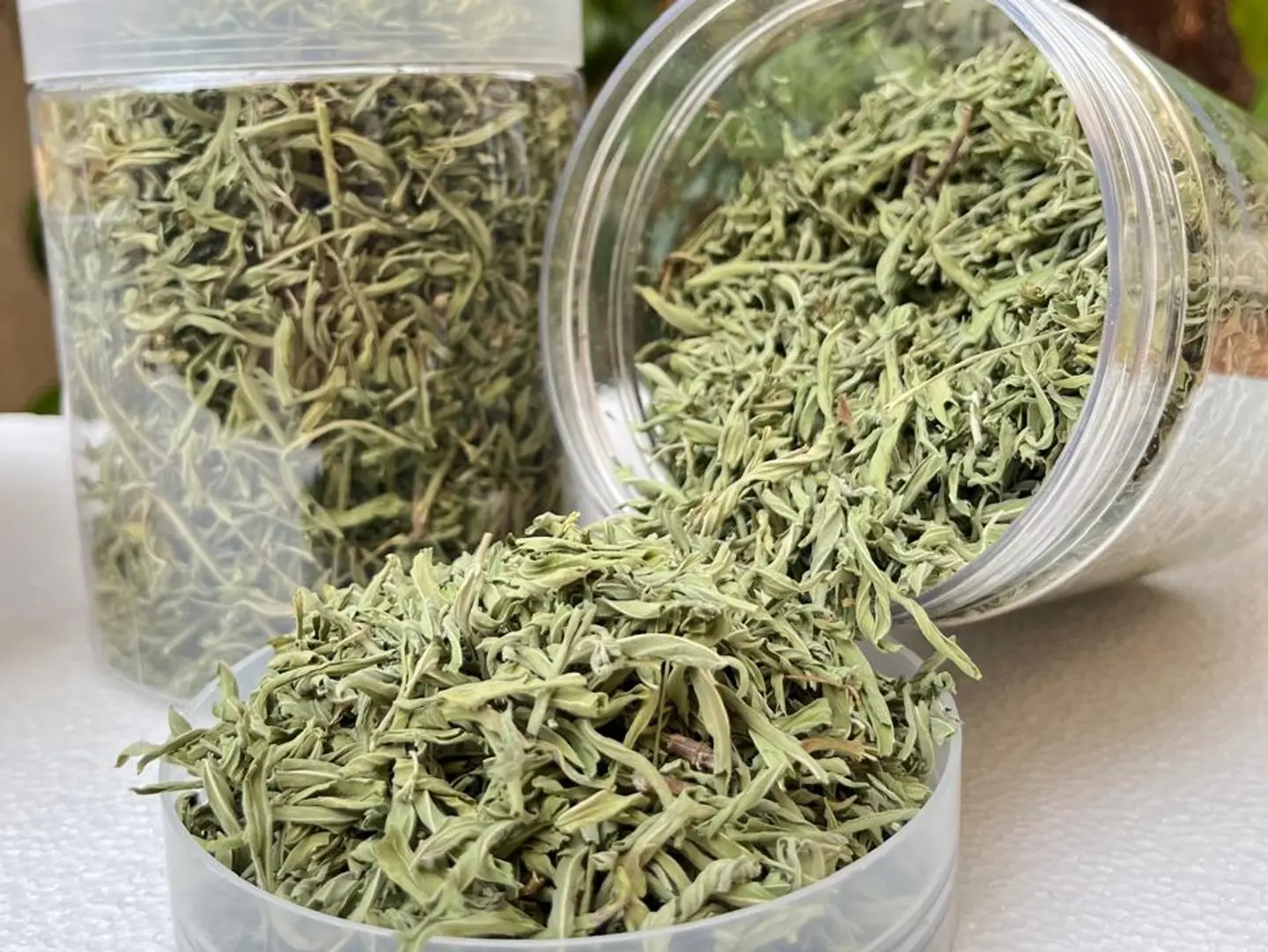 نعناع حايل 2