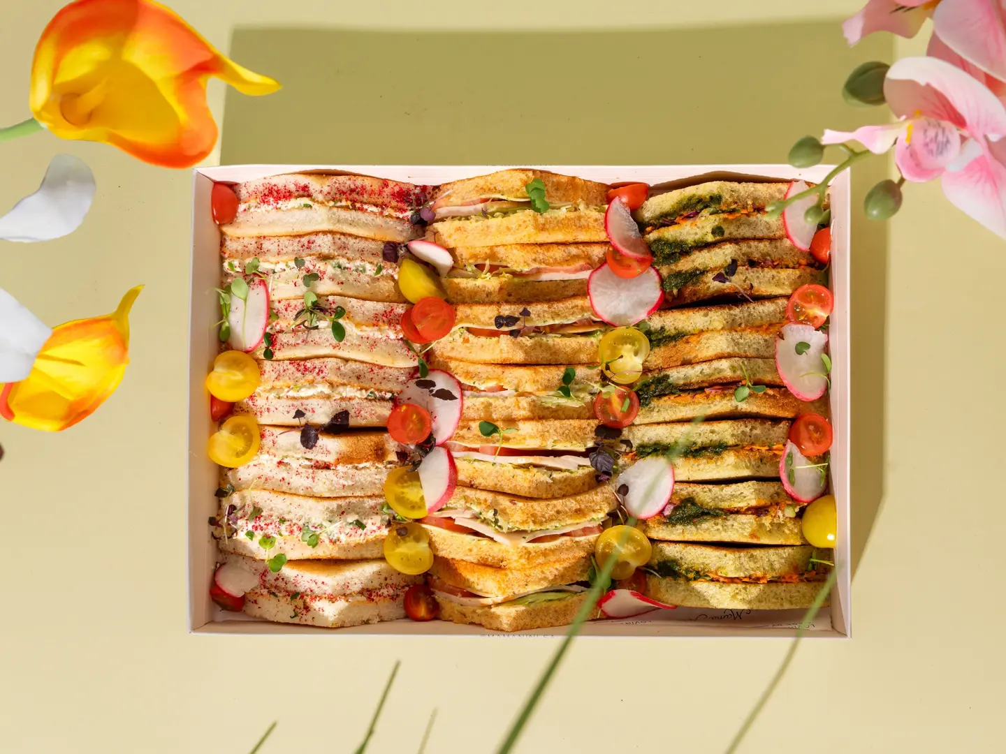 صندوق كلوب ساندويتش