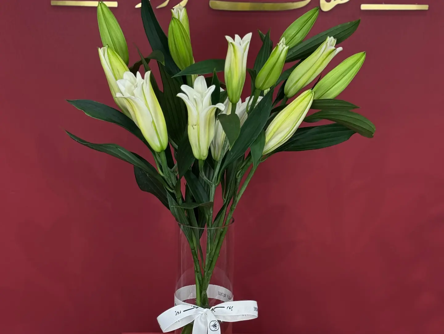 فازة كازابلانكا أبيض