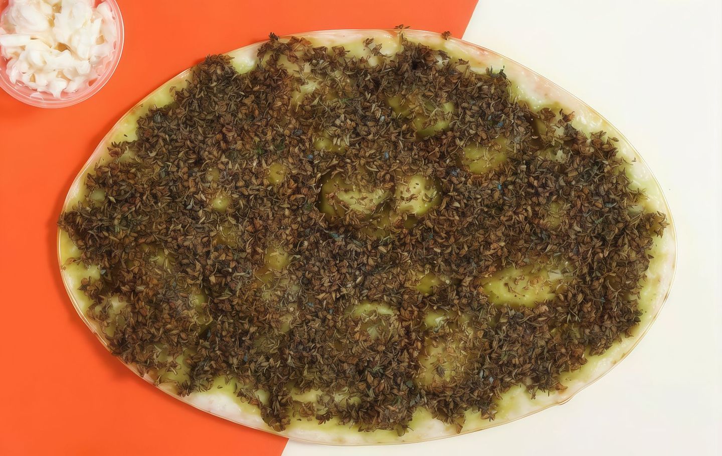 زعتر