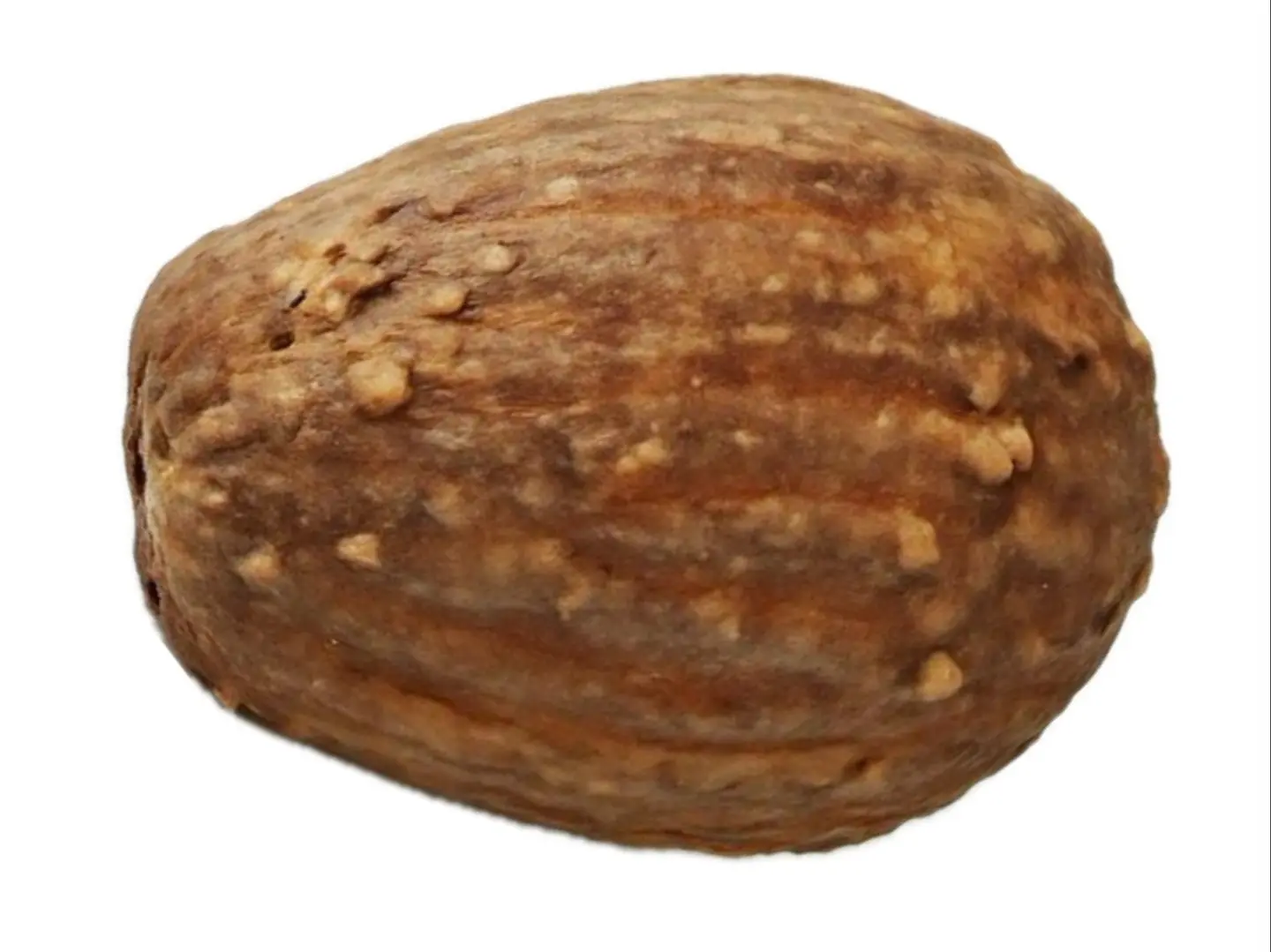 مادلين فانيلا