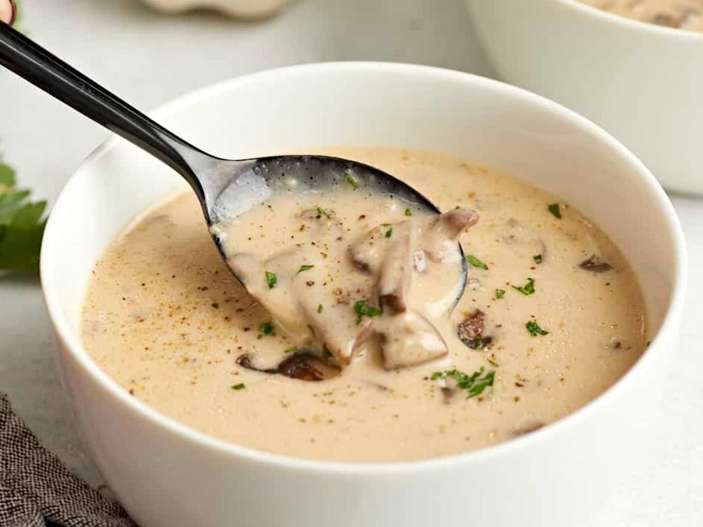 شوربة الفطر