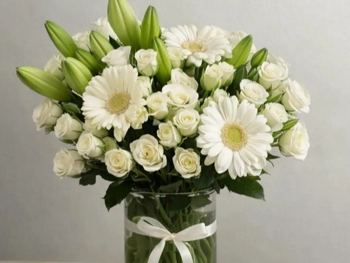 فازه الاناقه