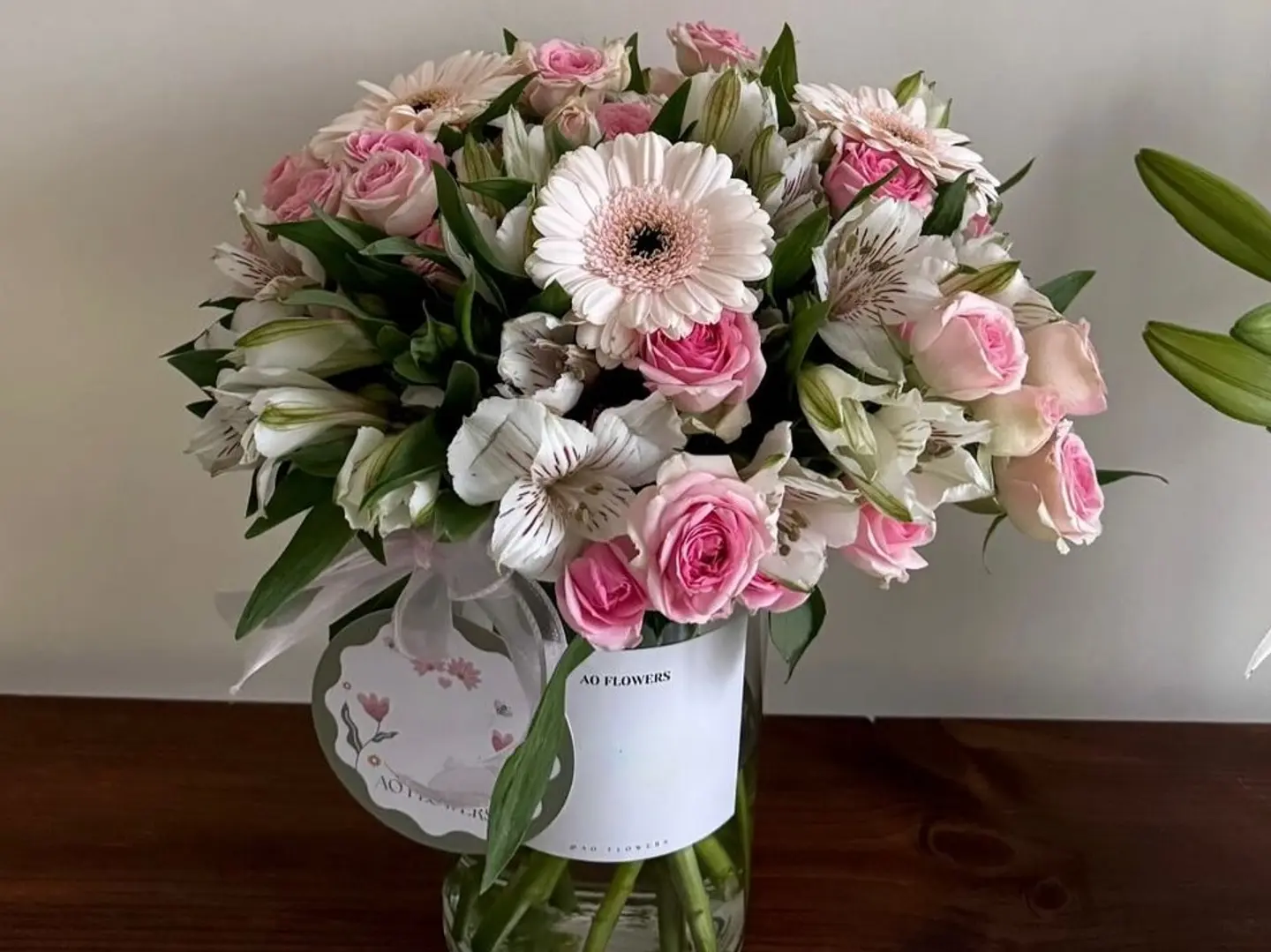 فازه مكس استوما