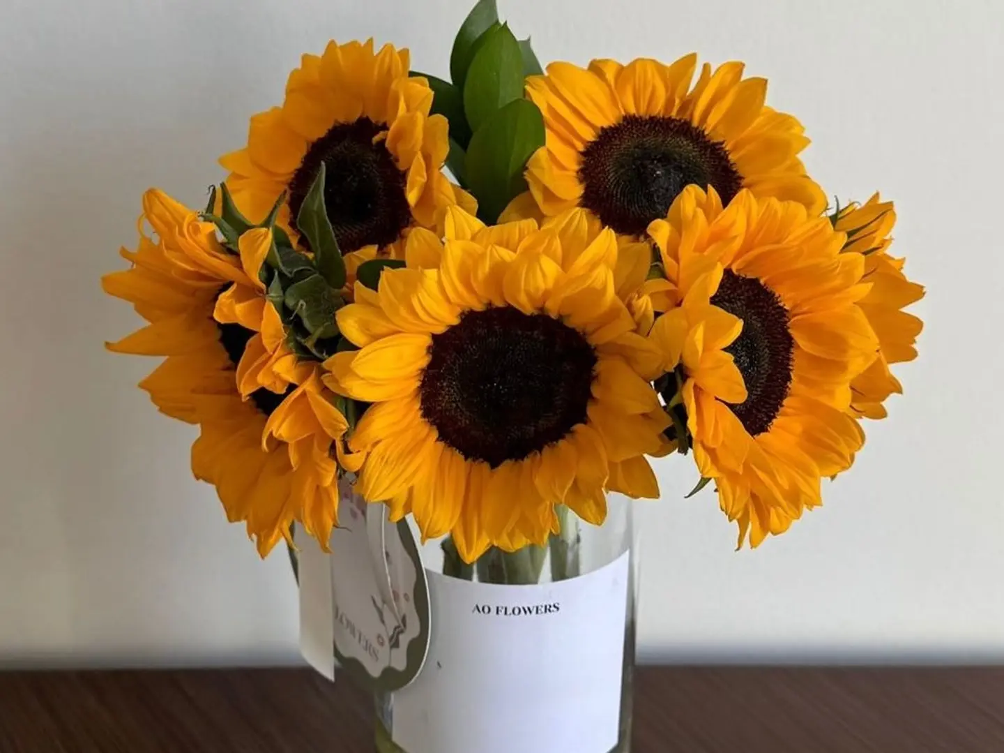 فازه دوار شمس