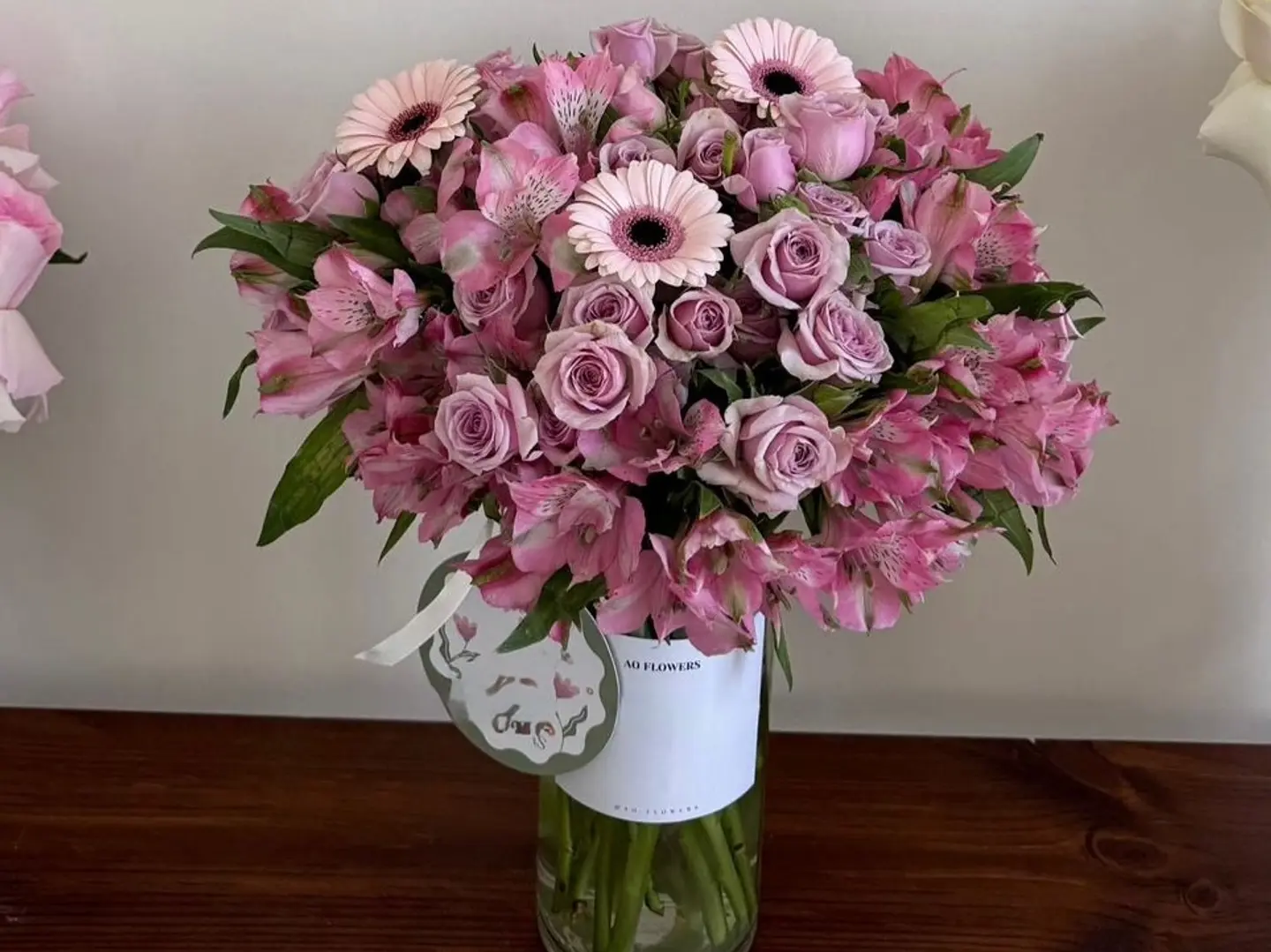 فازه مكس الموف