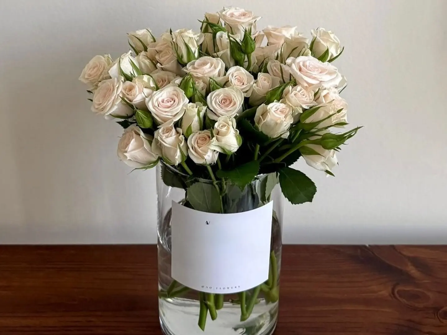 فازه الحنان