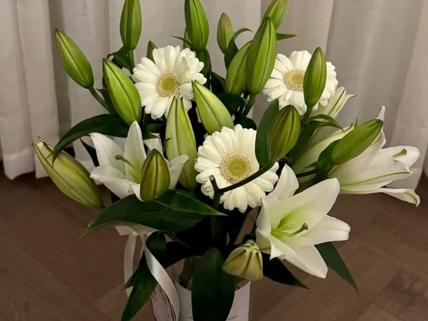 فازه النعومه البيضاء