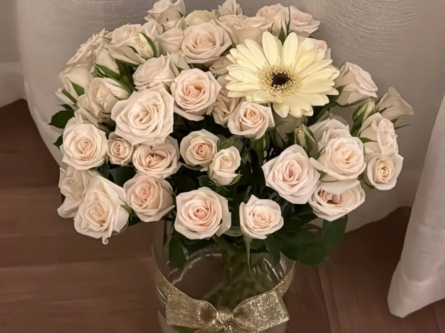 فازه النعومه