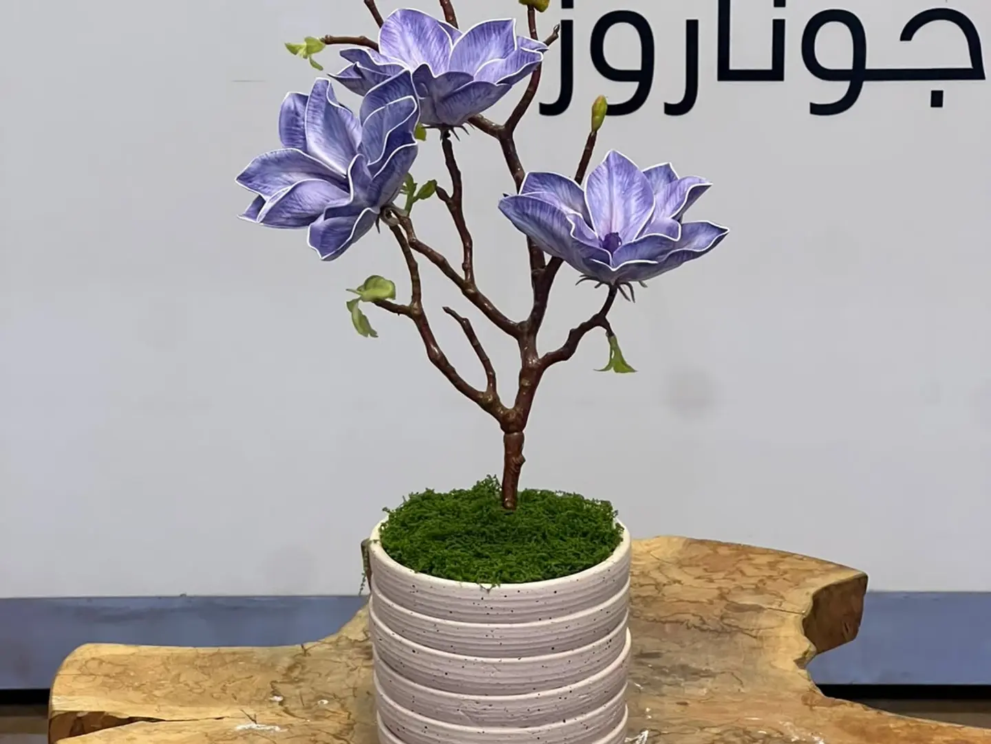 Vase 13