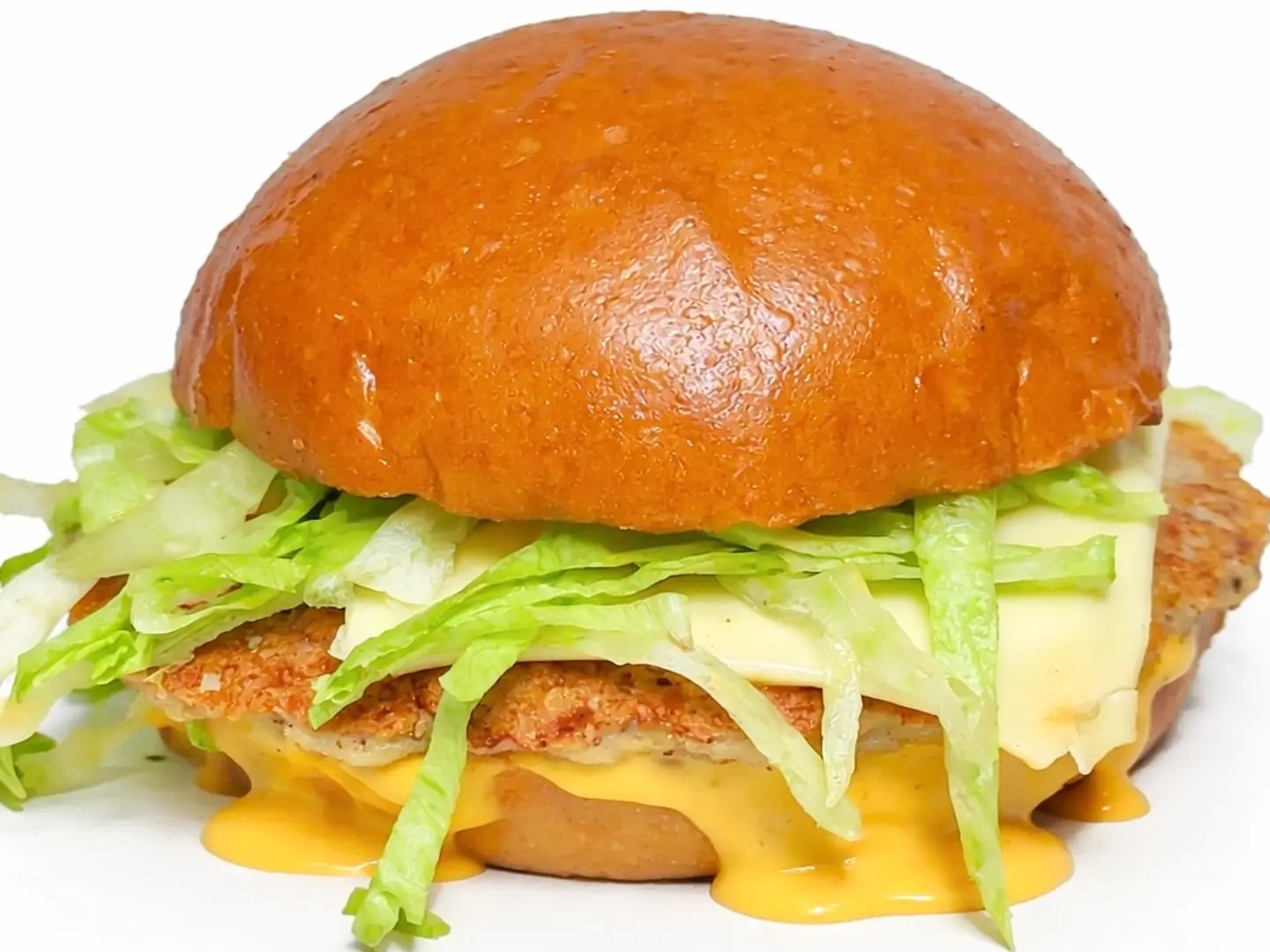 برقر سيجنتشر دجاج