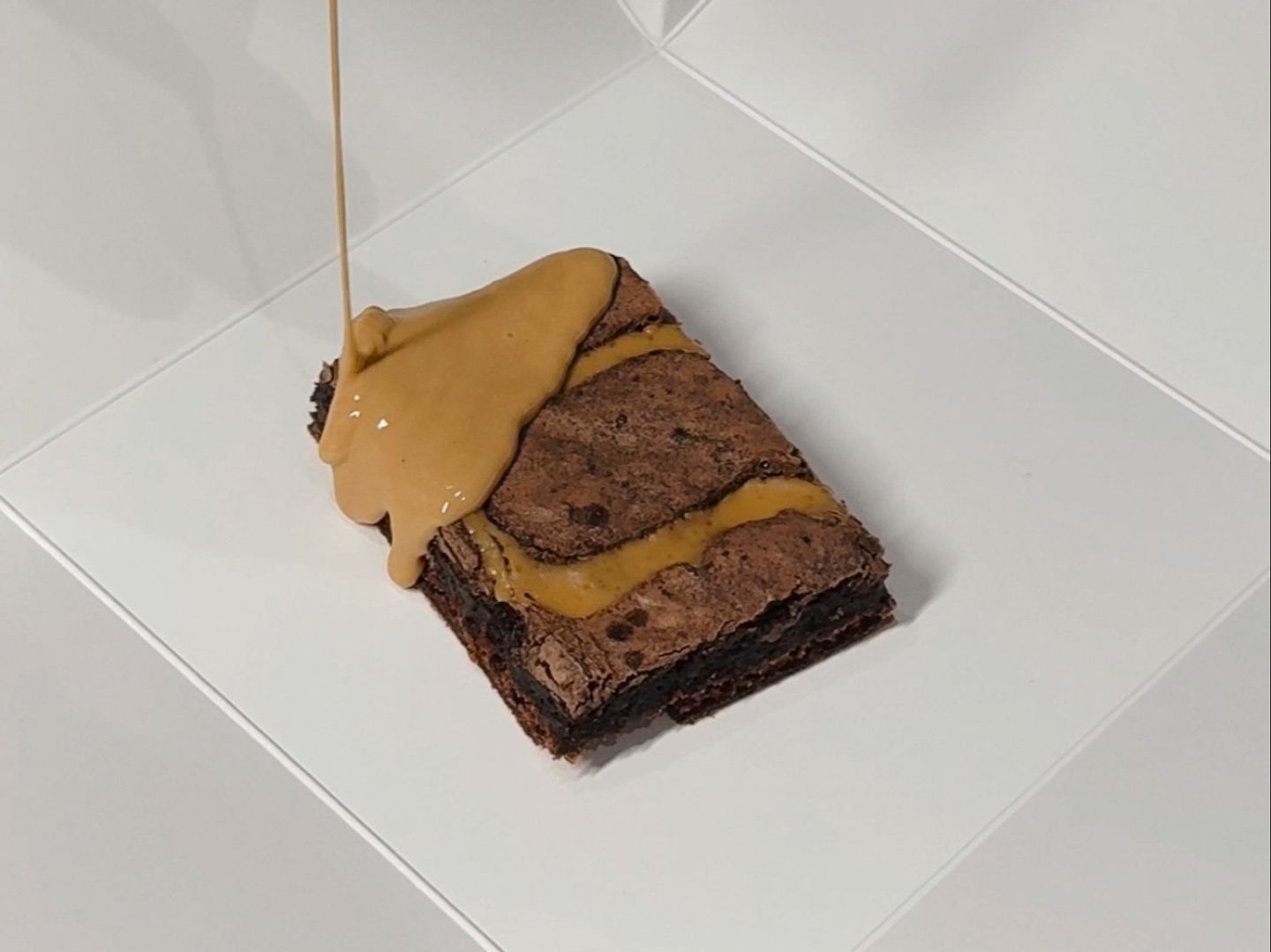 Peanut Butter Brownie