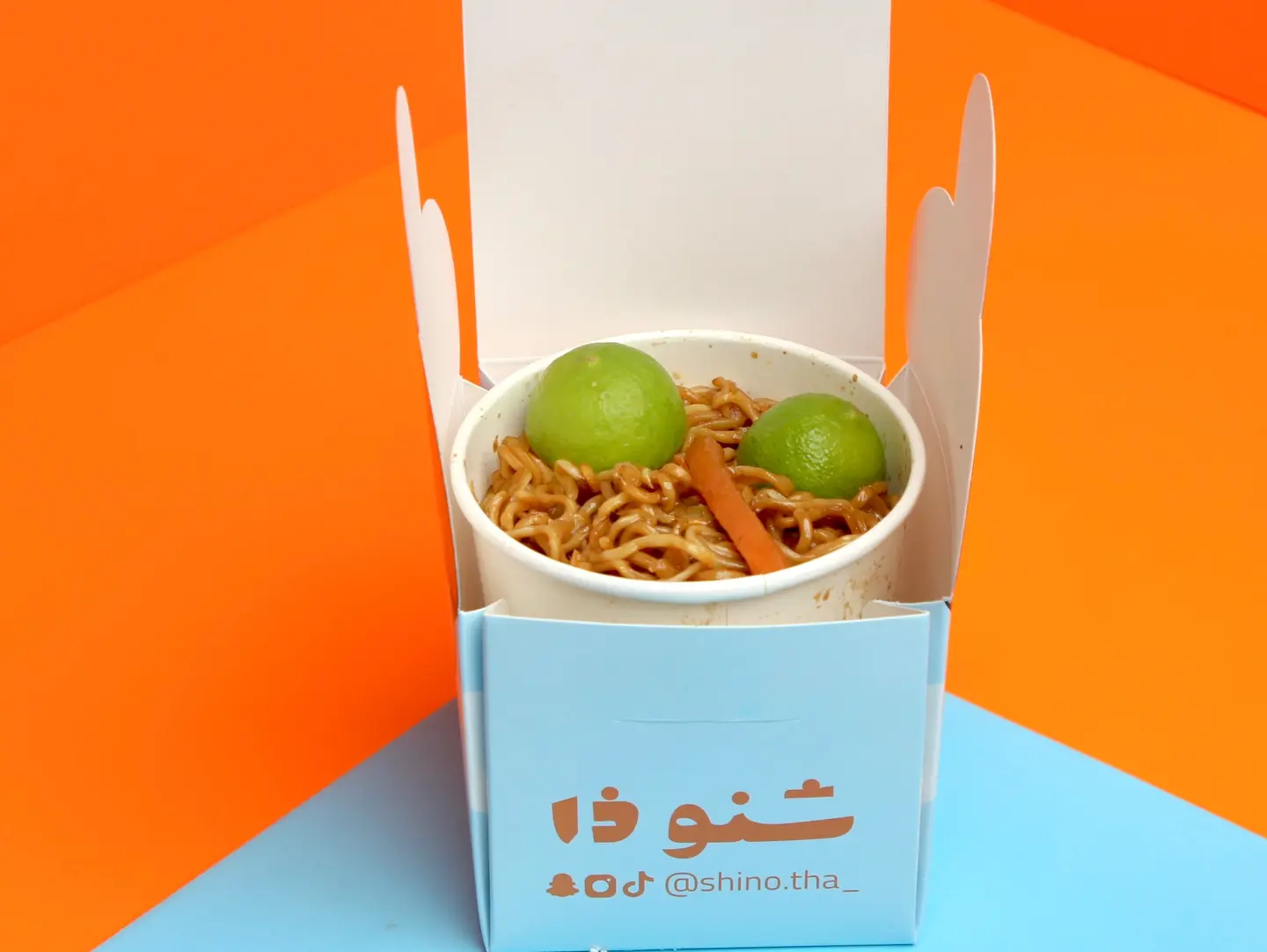 Vegetable Noodles