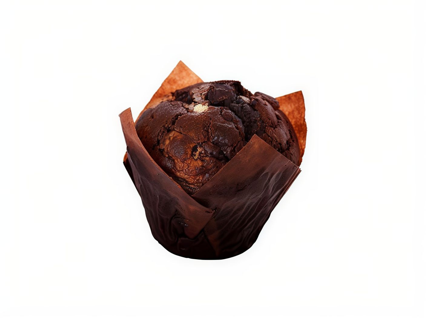 Chocolate Muffin