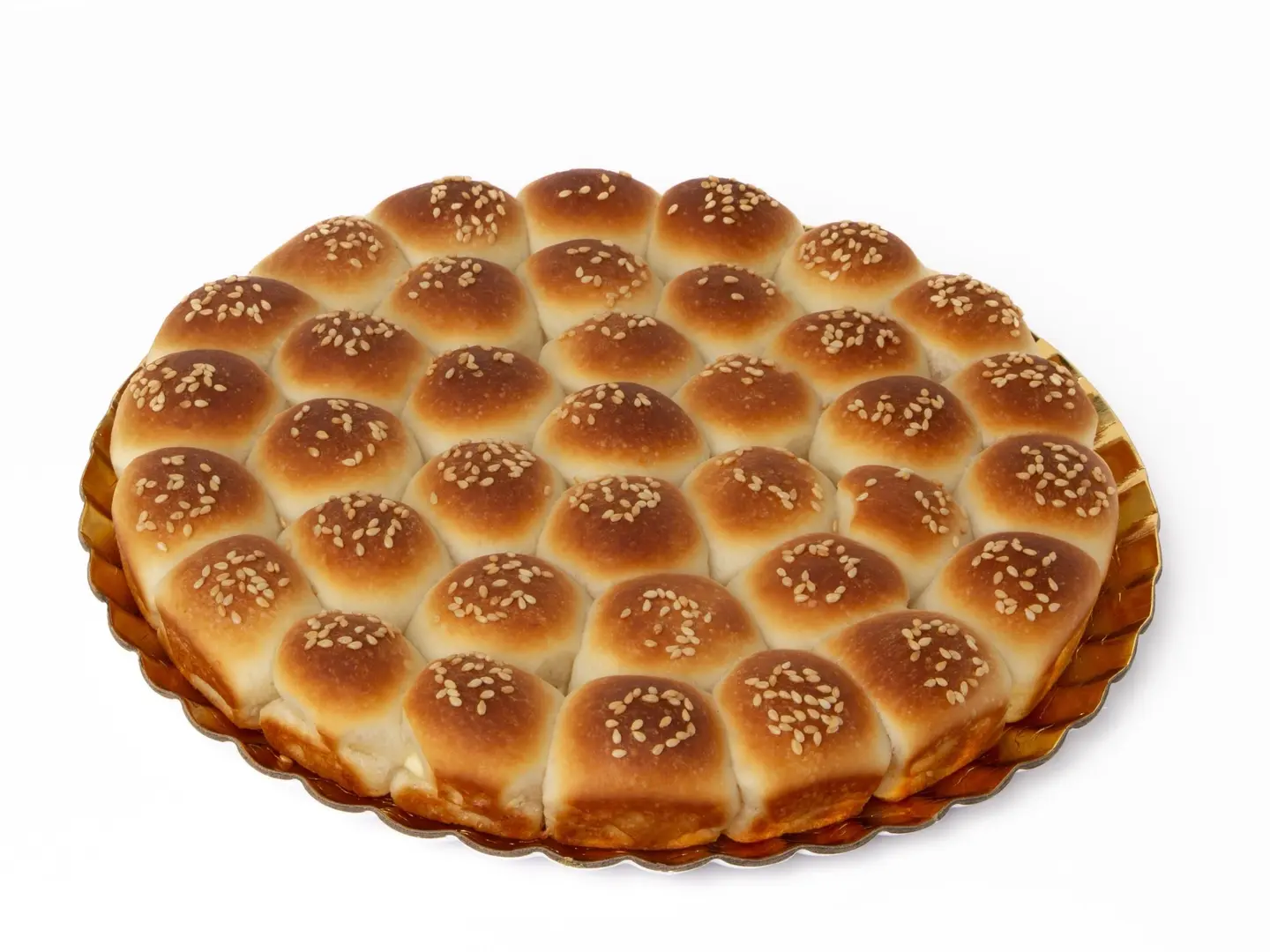 خليه نستله كبير