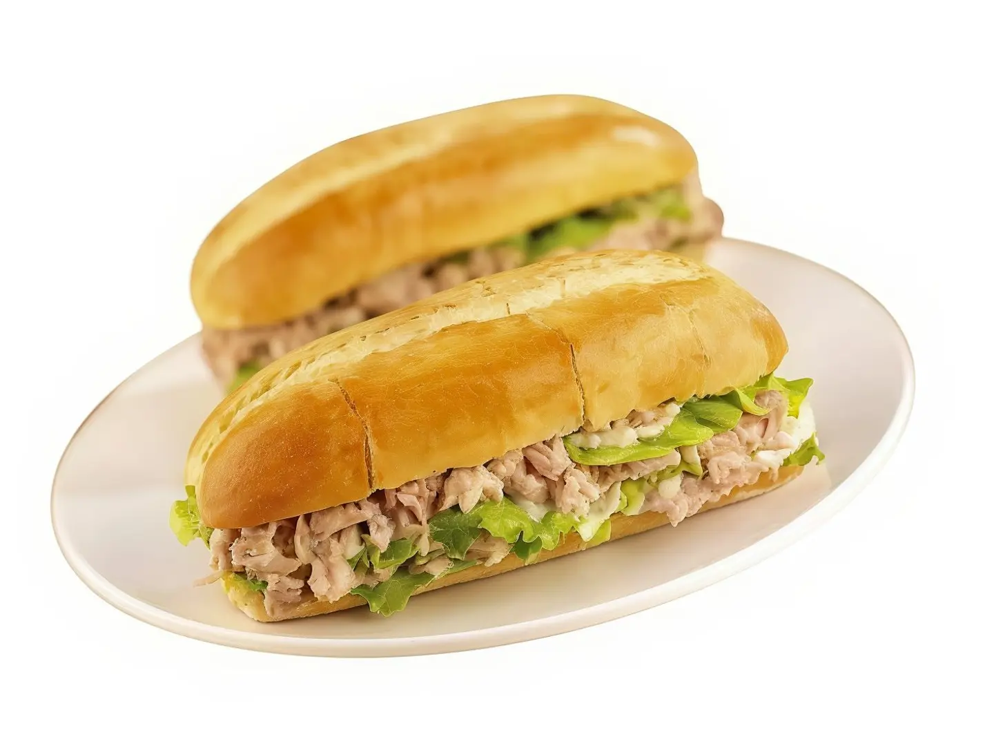 Plain Tuna Sandwich