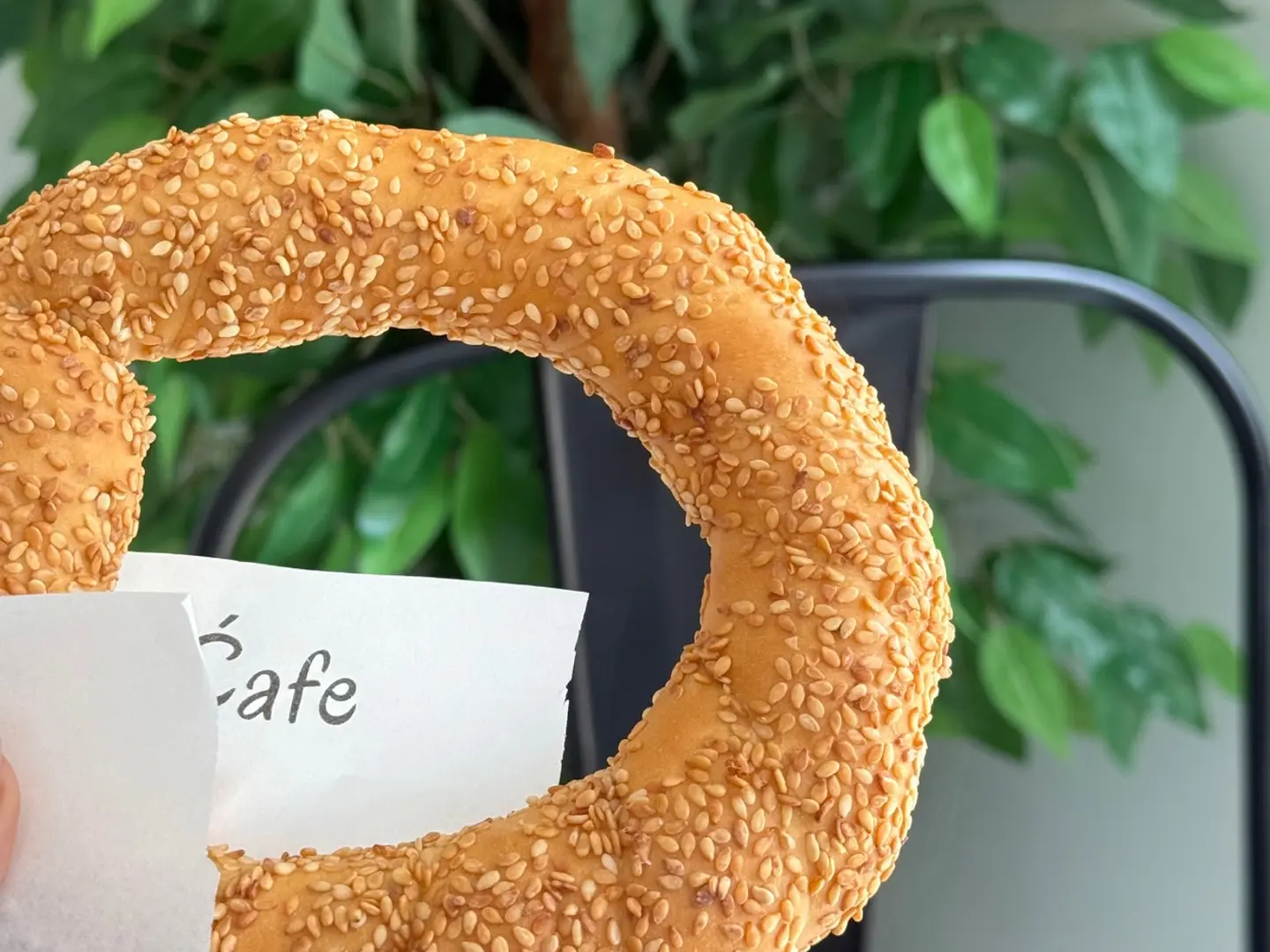 Turkish Semolina