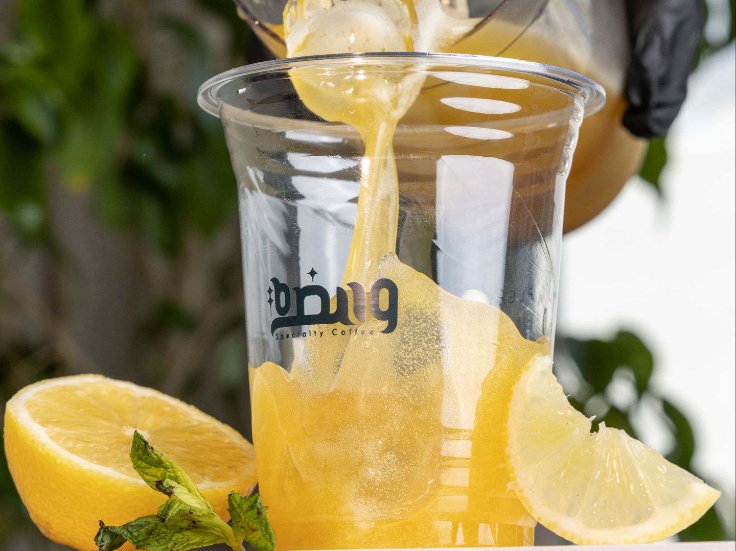 باشن فروت