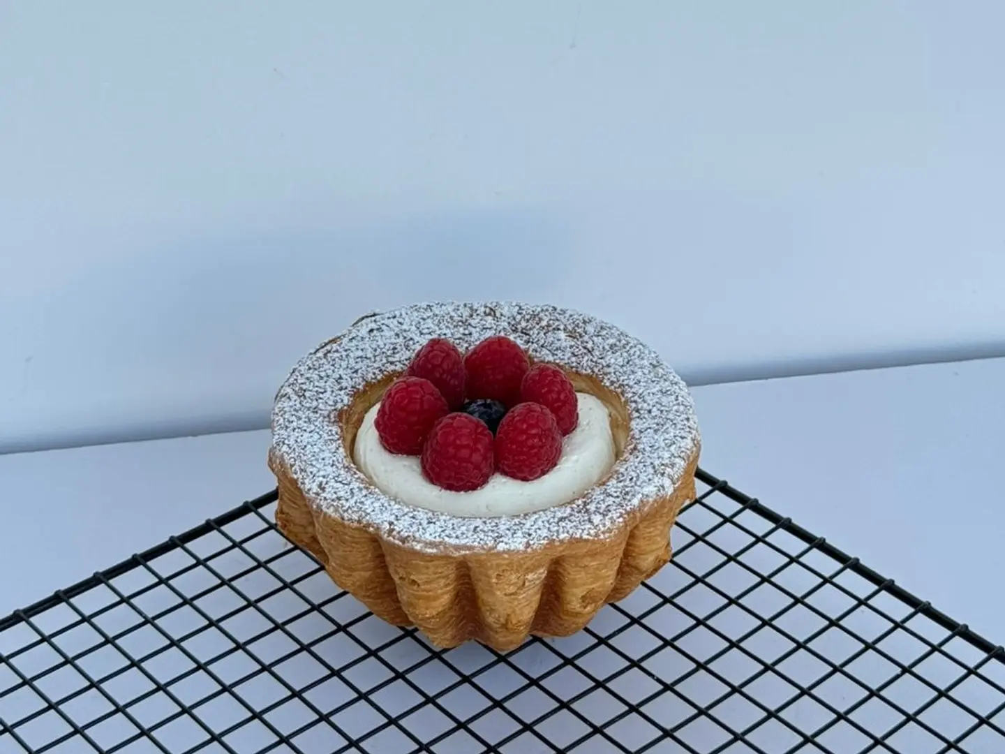 دانش بحشوة التوت الاحمر