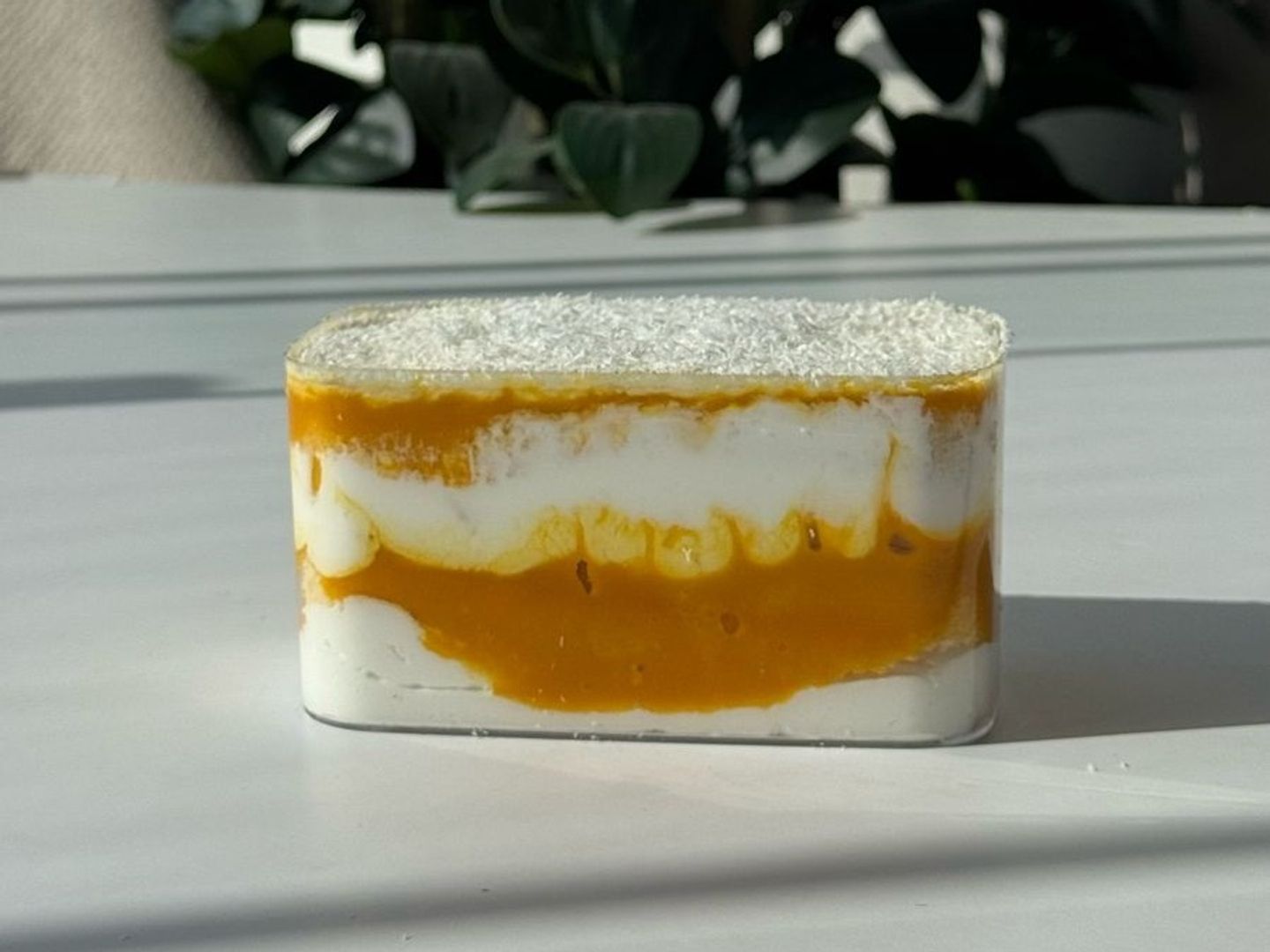 Mango Cocunt