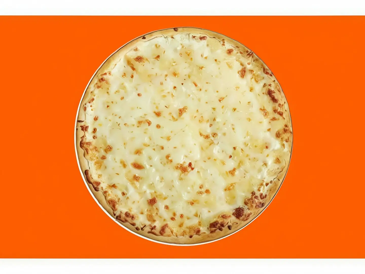 بيتزا عش البلبل