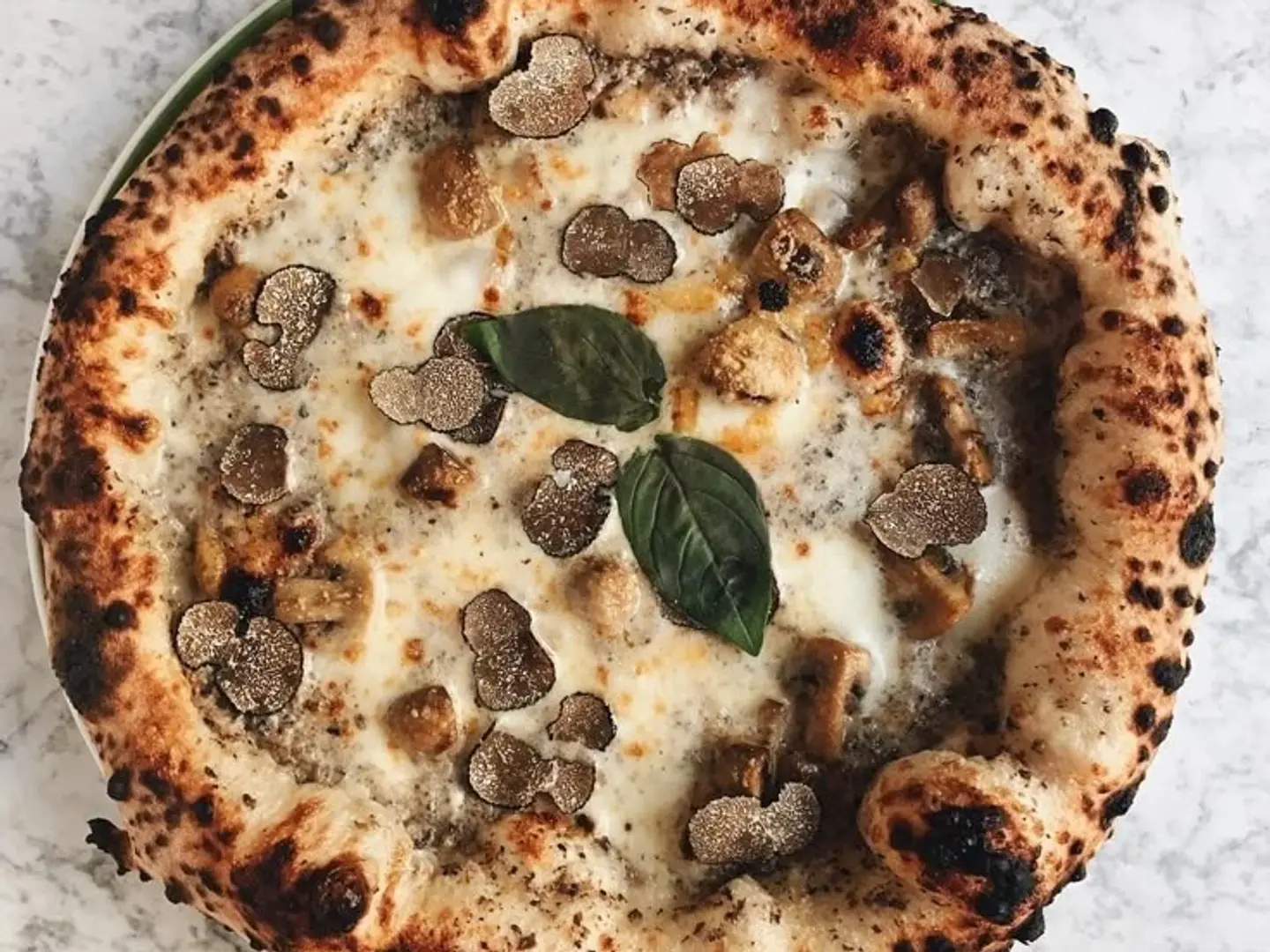 بيتزا ترافل